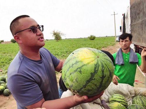 吃瓜娱乐图片大全大图,吃瓜娱乐图片大全大图揭秘 第3张 吃瓜娱乐图片大全大图,吃瓜娱乐图片大全大图揭秘 第3张
