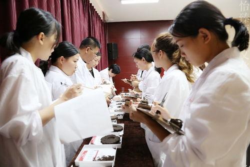 娱乐圈吃瓜西兰花,揭秘“吃瓜西兰花”背后的故事 第3张 娱乐圈吃瓜西兰花,揭秘“吃瓜西兰花”背后的故事 第3张
